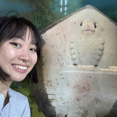 Enaj, 27