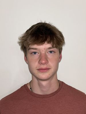 Luke, 21