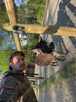 William, 25