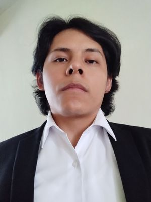 Alejandro, 33