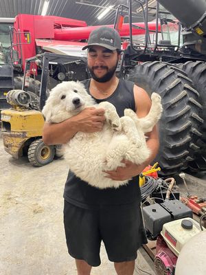 Gabriel, 26