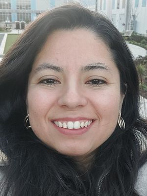 Diana Laura, 31
