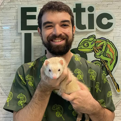 Rodrigo, 28