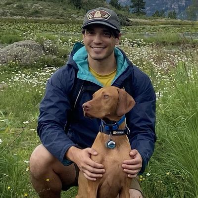 Daniel, 33