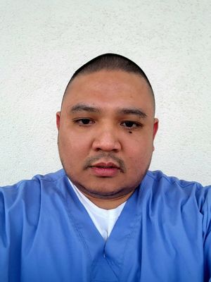 Rex, 41