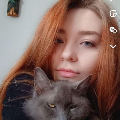 Sierra, 24