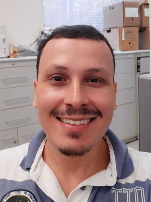 Pauli, 33