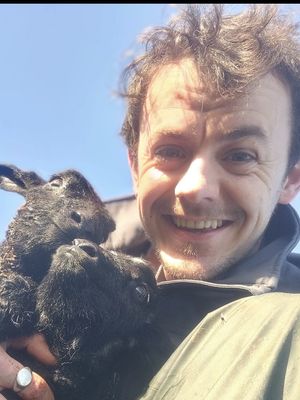 Adam, 33
