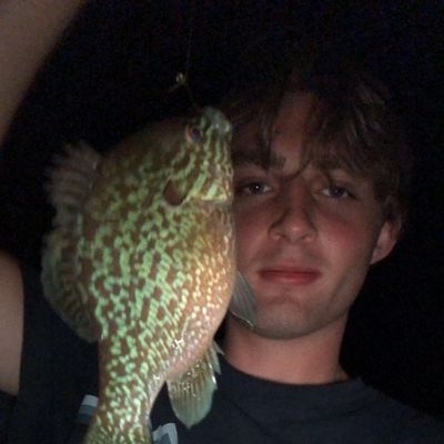 Kade, 23