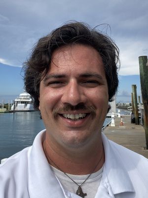 Troy, 31