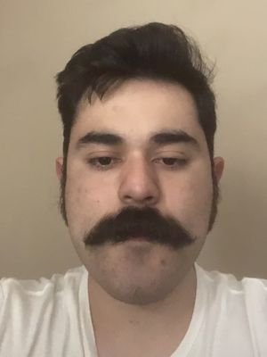 Melesio, 22
