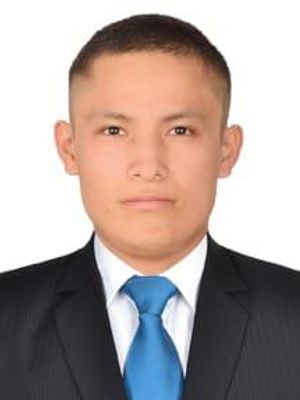 Mario, 26