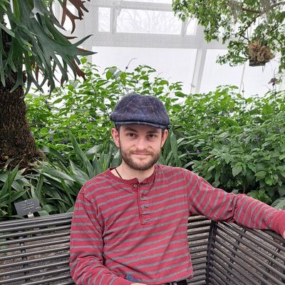 Paul, 28