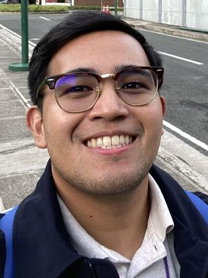 Raphael, 28