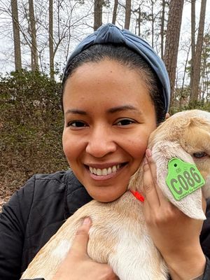 Cici, 40