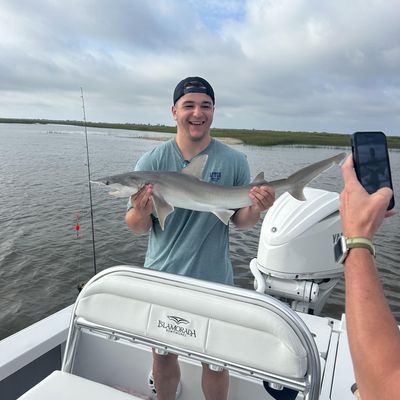 Nicholas, 22