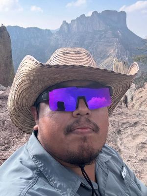 Ulises, 25