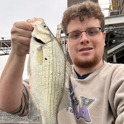 Maddox, 21