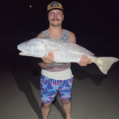 Andrew, 24