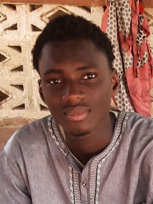 Lamin, 24