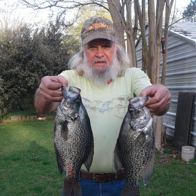 Tim, 66