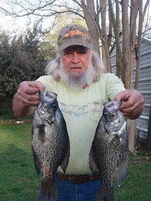 Tim, 66