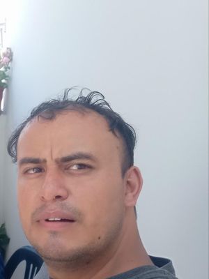 Axon, 31