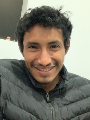 Ervin, 29