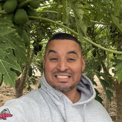David, 44