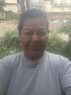 Zenaida, 58