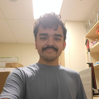 Matthew, 19