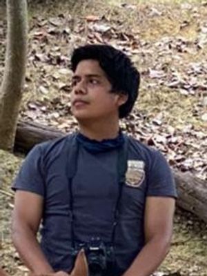 Xavier, 29