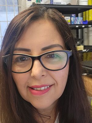 Norma, 50