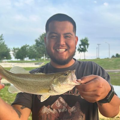 Juan, 28
