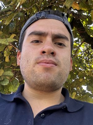 David, 24