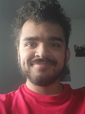 Matthew, 19