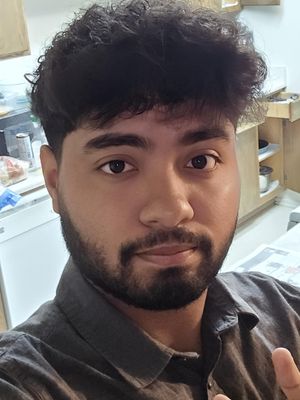 David, 24