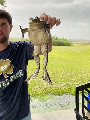 Nick, 26