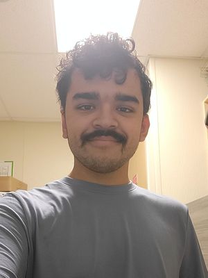 Matthew, 19