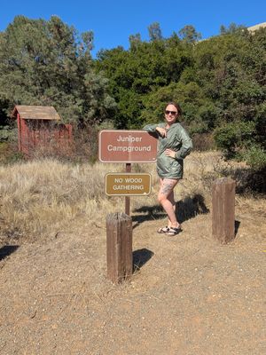 Juniper, 31