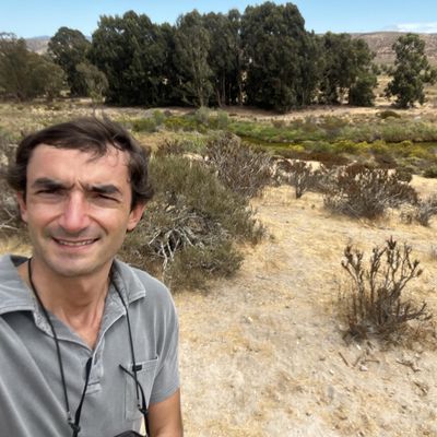 Matias, 35