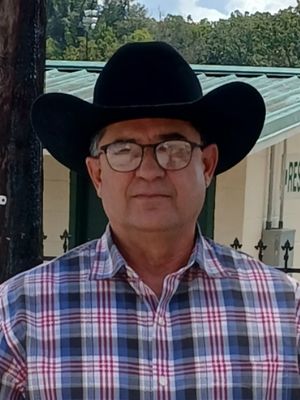 Rafael, 61