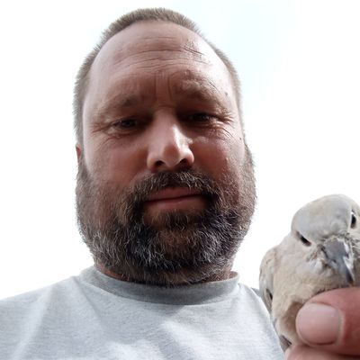 Aaron, 46