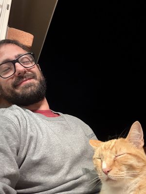 Tomer, 31