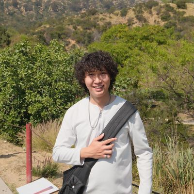 Theo Ngo, 25
